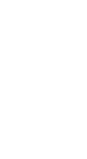  Shirley Quaresimin WA Councillor NATSICC Deputy Chairperson